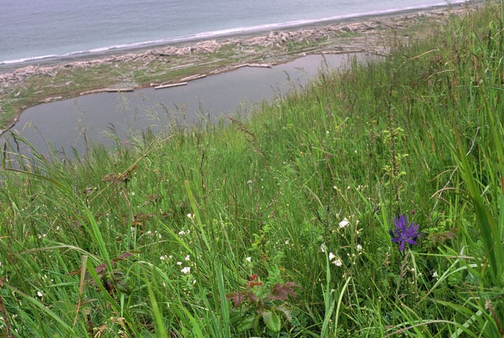 Heath Conservation Easement on Ebey’s Landing Bluff Trail