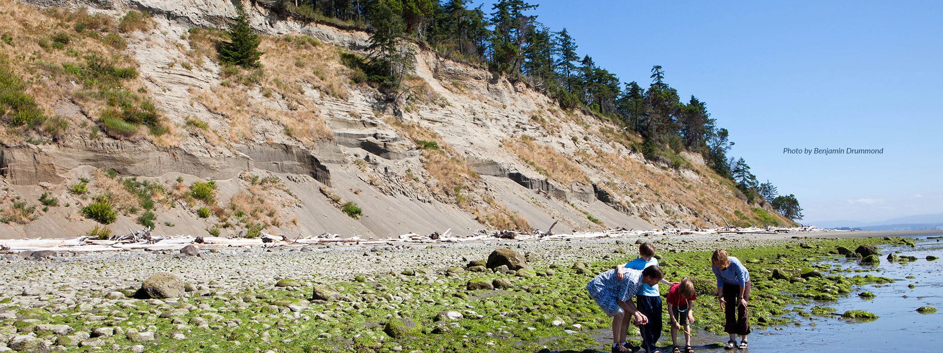 beachcombers at Barnum Point
