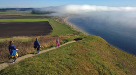 Ebey's Landing trail image