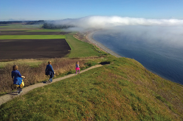 Ebey's Landing trail image