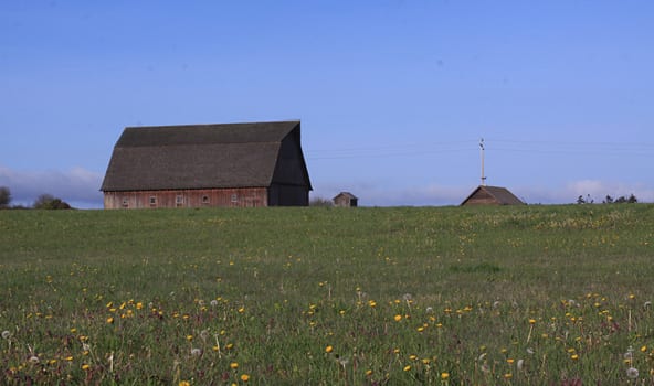 Englishes barn at a distance