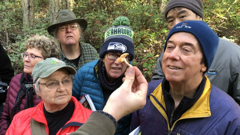 2019 Fungi Tour