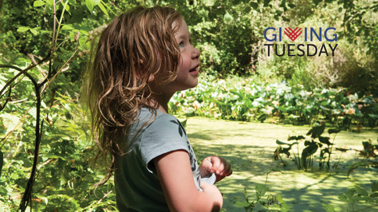 Giving Tuesday