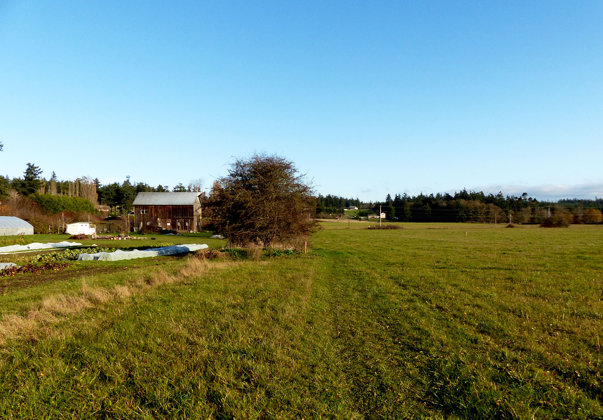 Rosehip Farm