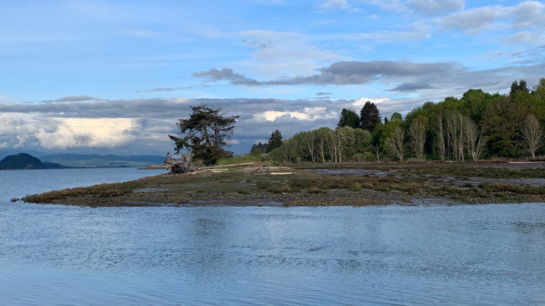 Dugualla Bay Preserve