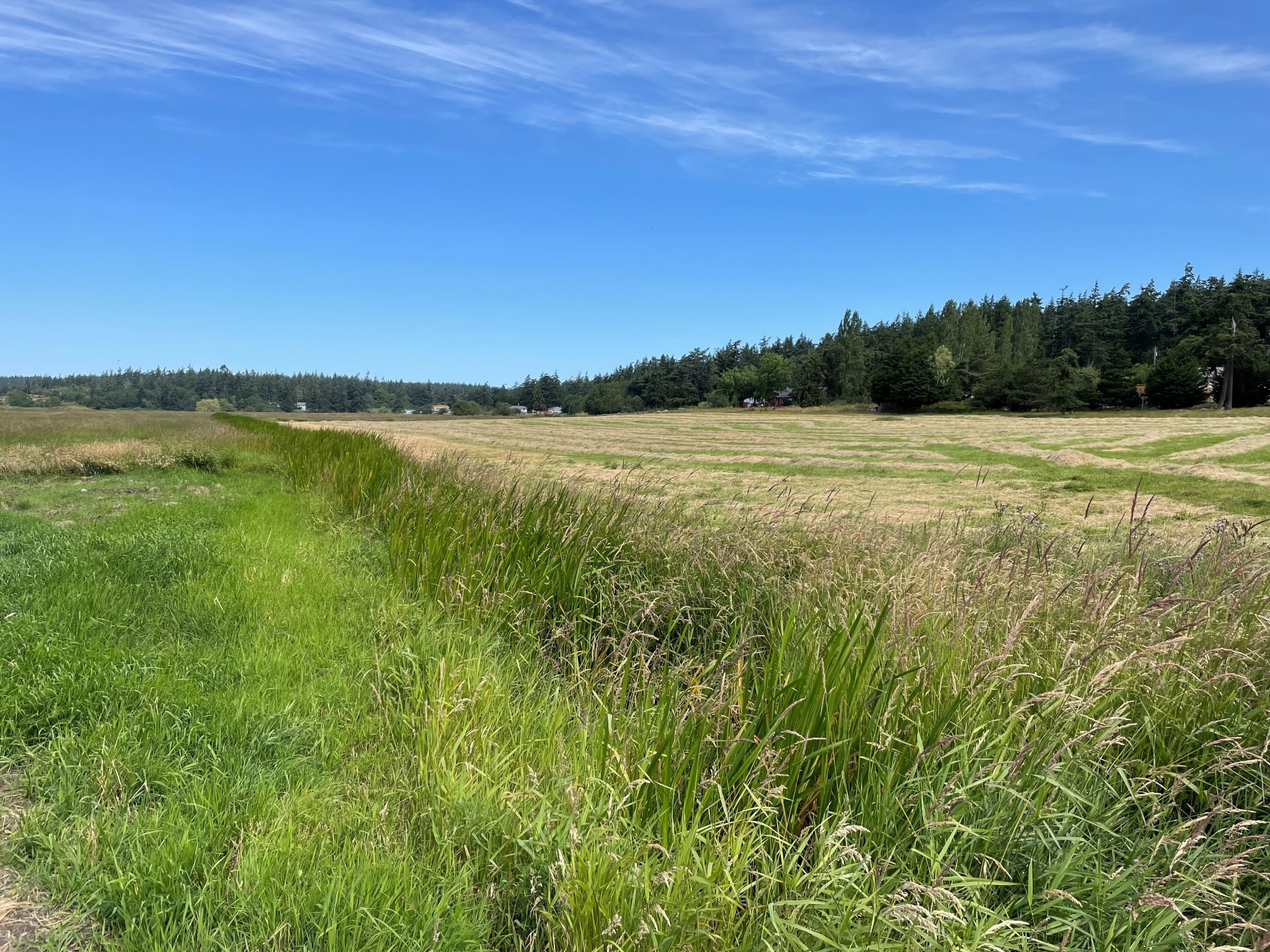 Image showcasing Sher-Footed Farm Conservation Easement - Whidbey Camano Land Trust