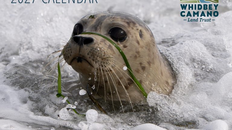 2027 Calendars Now Available!