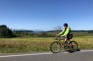 Sunshine at Sea, Trees, & Pie Bike Ride