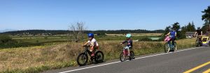 Bike ride families image