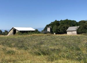 Engle Farmstead