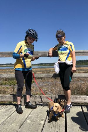 Dachshunds at Bike Ride