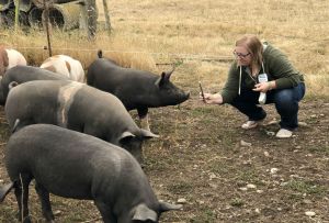 2019 Member Picnic at 3 Sisters Farm