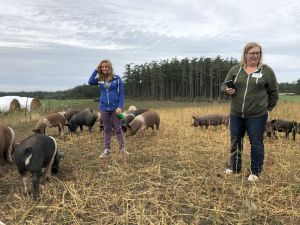 2019 Member Picnic at 3 Sisters Farm