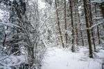 Taylor Road snow image