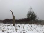 Crockett Lake Preserve in Snow