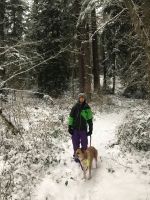 Saratoga Woods in snow image